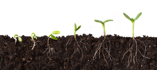 Go deep on your motivation roots